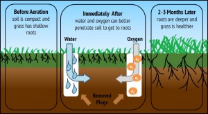 Services-Aeration