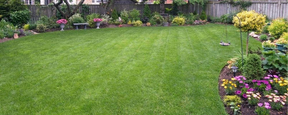 Braselton GA lawn care