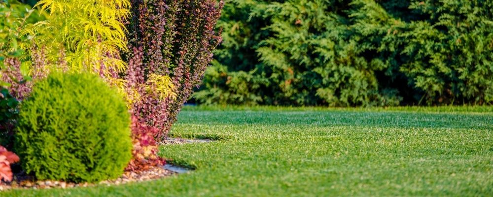 Lawrenceville GA Lawn Care