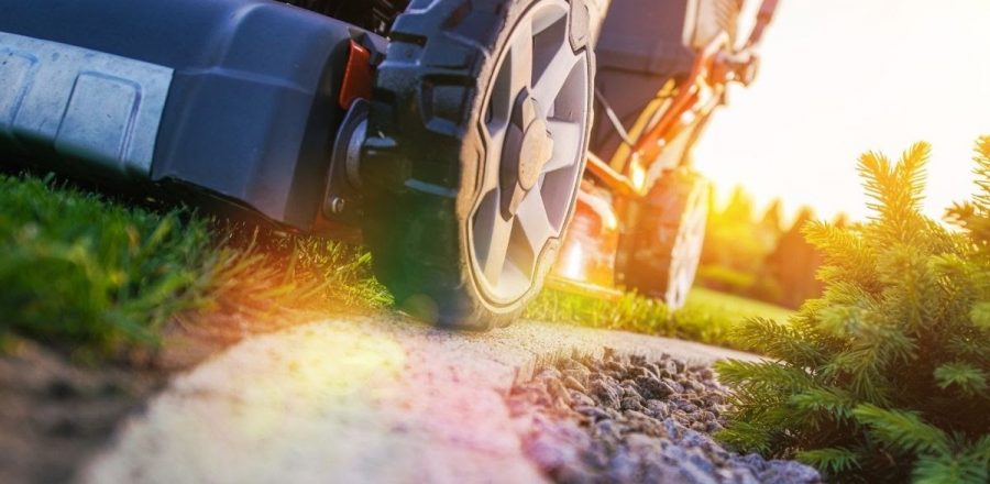 5 Things to Look for in a Lawn Care Company